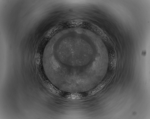 X0000100310758200806121040