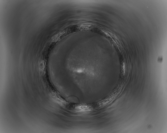 X0000100310759200806121040