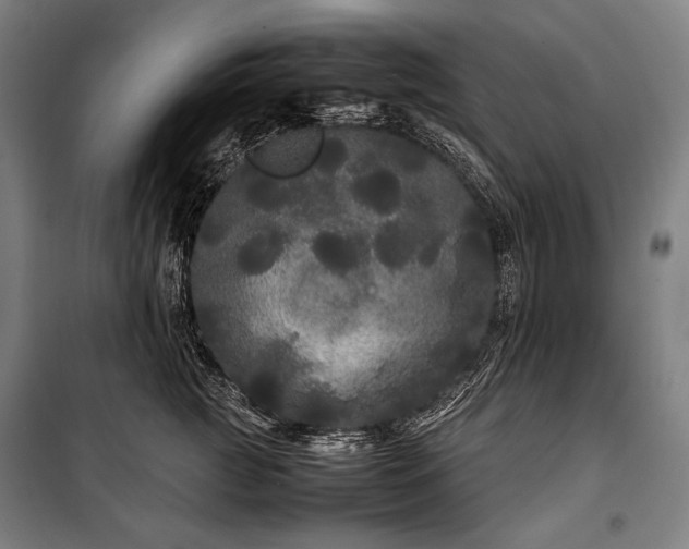 X0000100310761200806121040