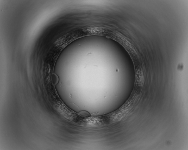 X0000100310762200806121040