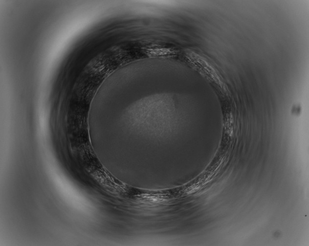 X0000100310763200806121040