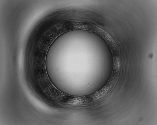X0000100310764200806121040