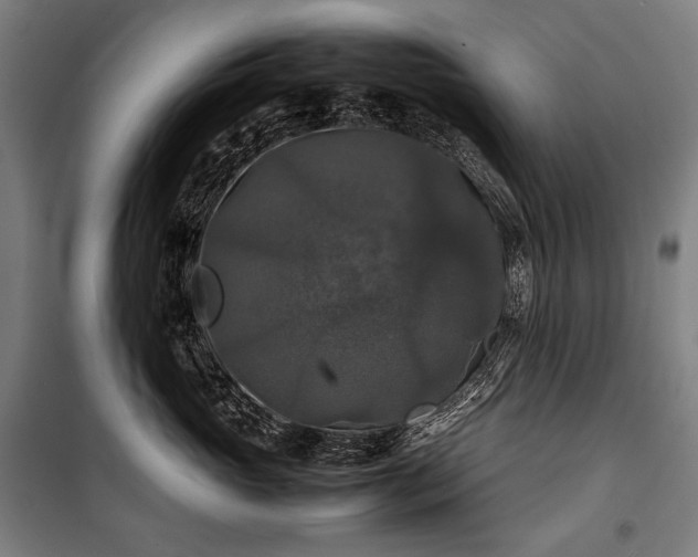 X0000100310765200806121040