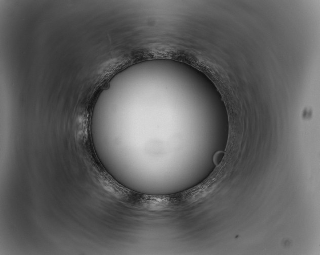 X0000100310768200806121040