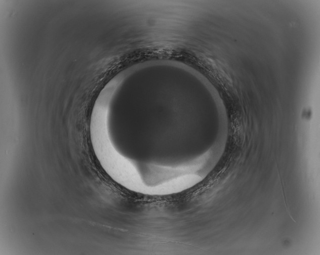 X0000100310769200806121040