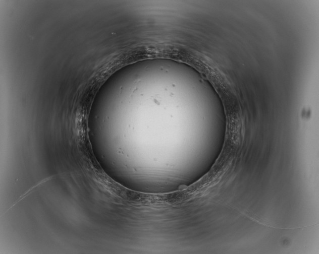 X0000100310770200806121040