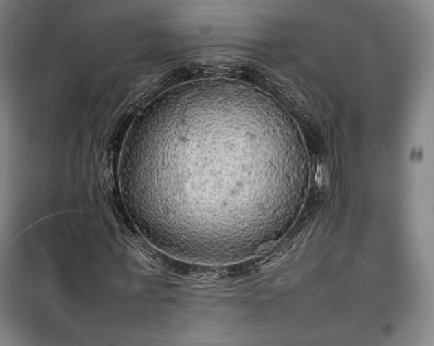 X0000100310771200806121040