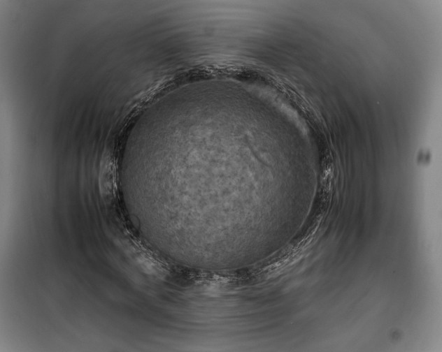 X0000100310772200806121040
