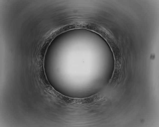 X0000100310773200806121039