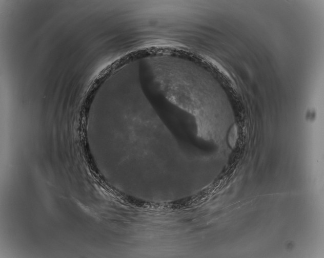 X0000100310775200806121039
