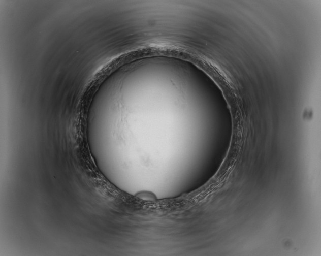 X0000100310776200806121039