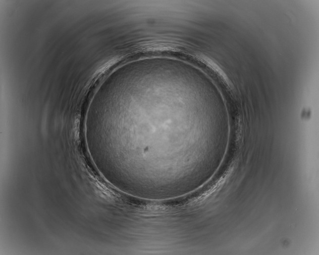 X0000100310777200806121039
