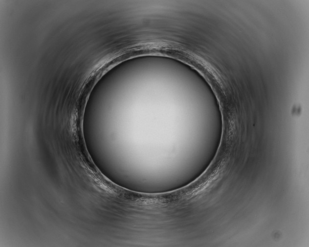 X0000100310778200806121039