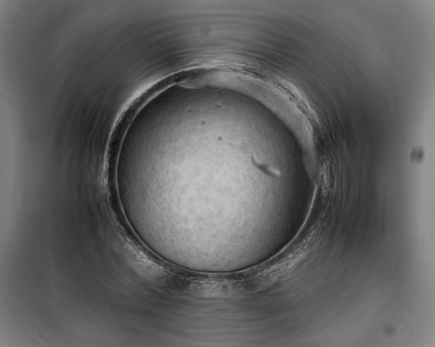 X0000100310780200806121039