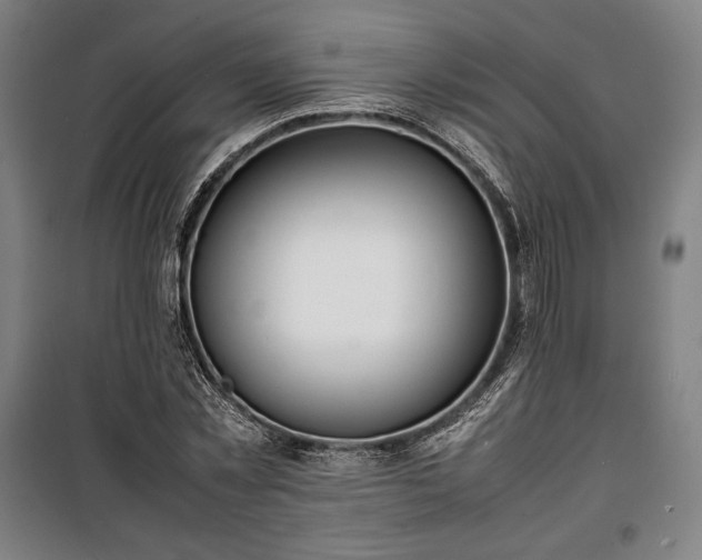X0000100310781200806121039