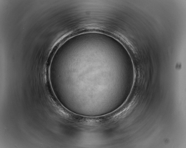 X0000100310782200806121039