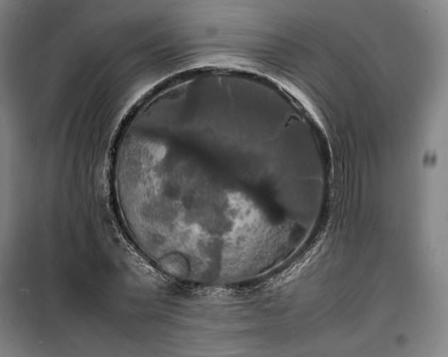 X0000100310783200806121039