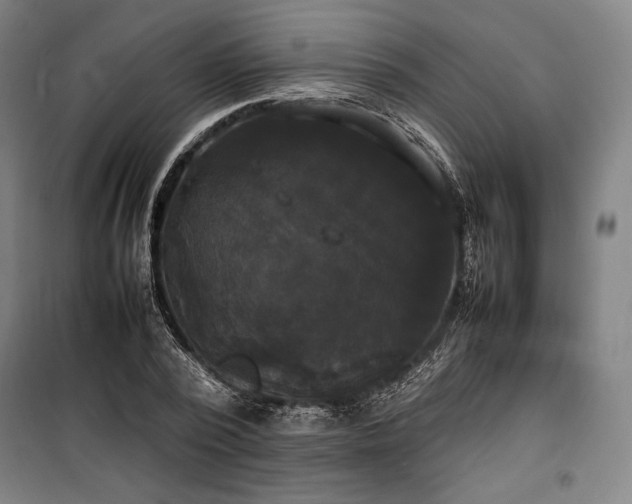 X0000100310784200806121039