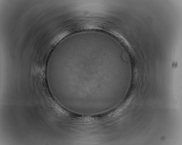X0000100310785200806121039