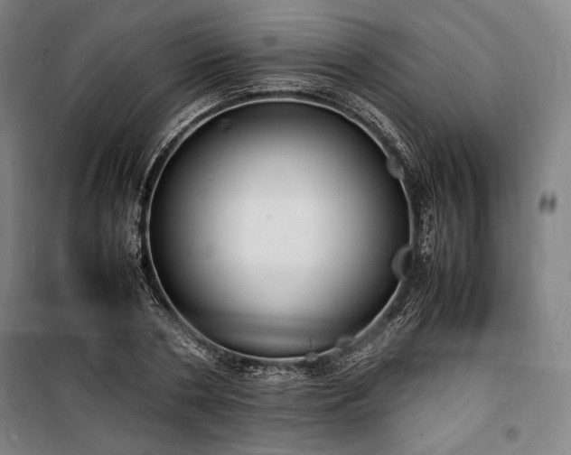 X0000100310786200806121039