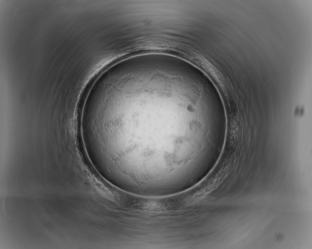 X0000100310787200806121039