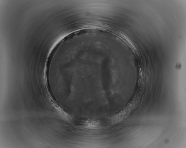 X0000100310788200806121039