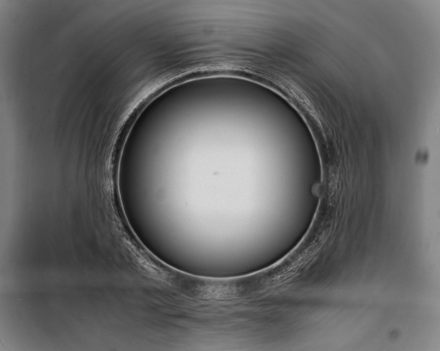 X0000100310789200806121039