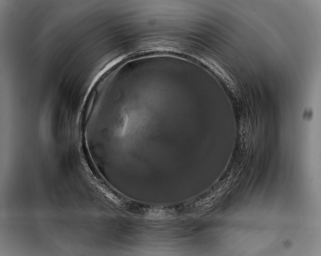 X0000100310790200806121039