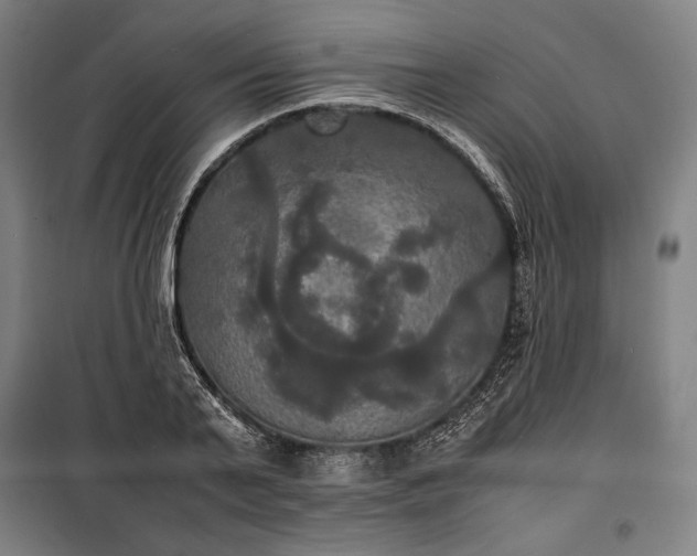 X0000100310791200806121039