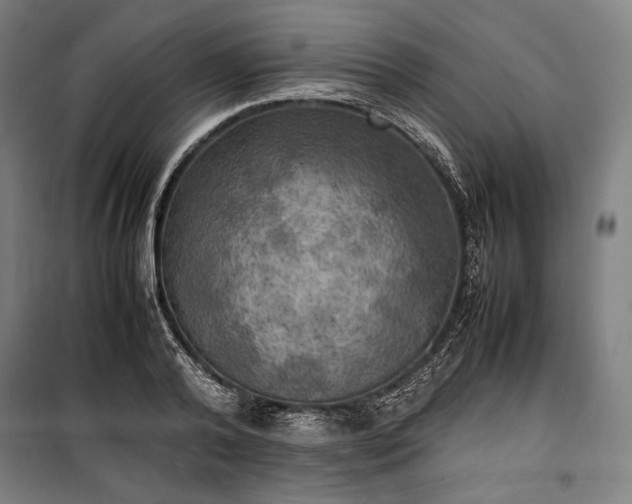 X0000100310792200806121039