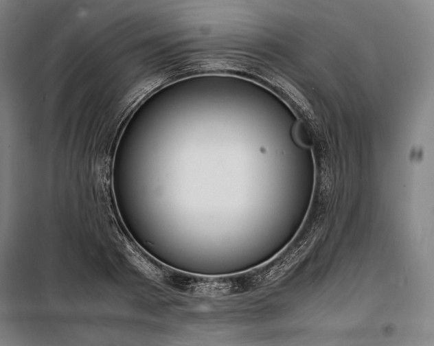 X0000100310793200806121039