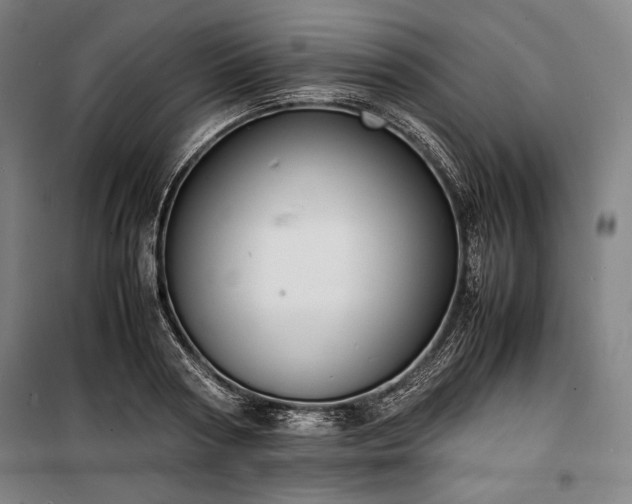 X0000100310794200806121039