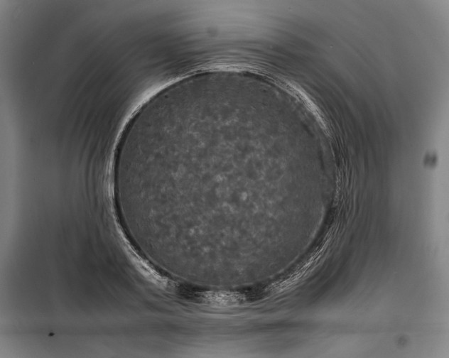X0000100310795200806121039