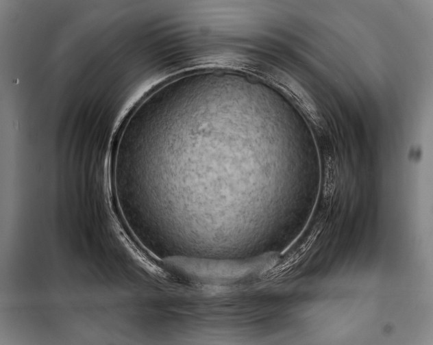 X0000100310796200806121039