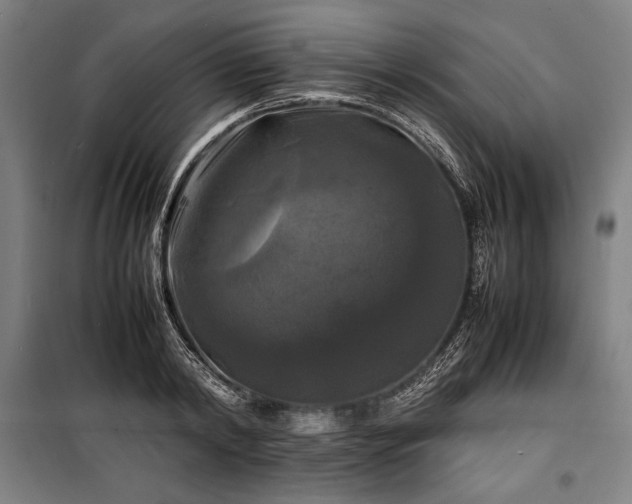 X0000100310798200806121039