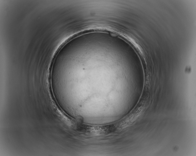X0000100310799200806121039