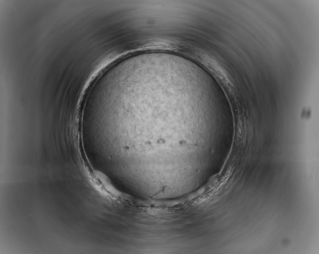 X0000100310800200806121039