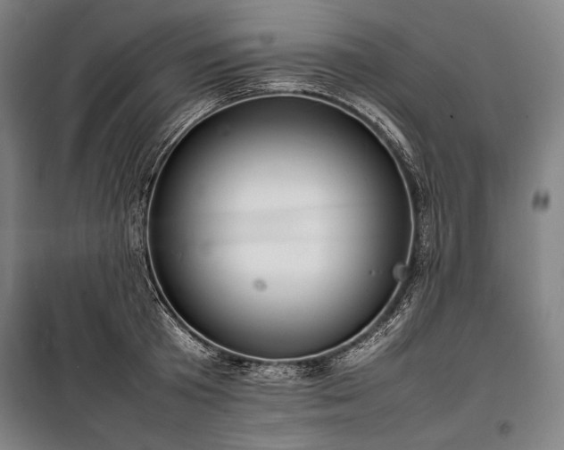 X0000100310801200806121039