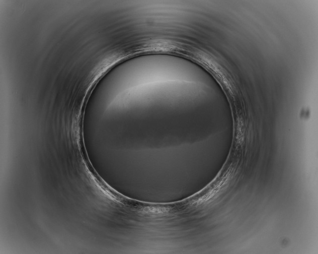 X0000100310802200806121039