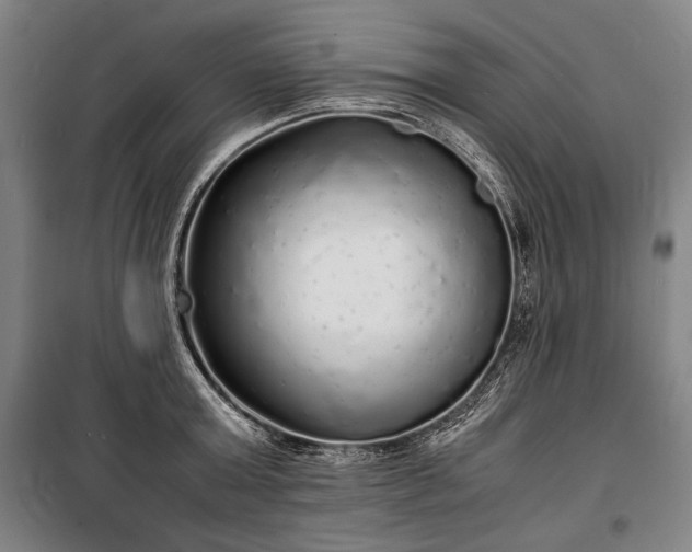 X0000100310803200806121039