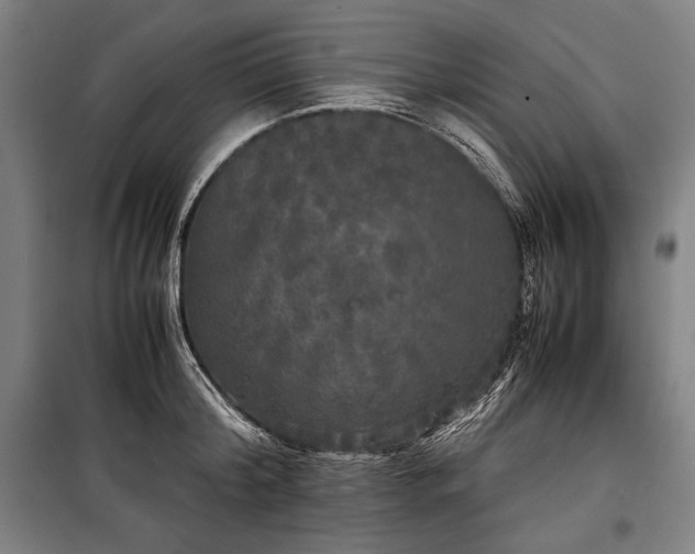 X0000100310804200806121039