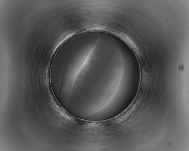 X0000100310806200806121039