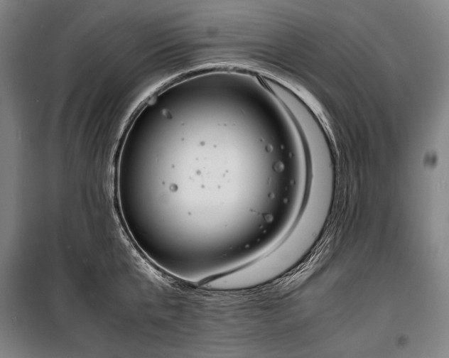 X0000100310807200806121039