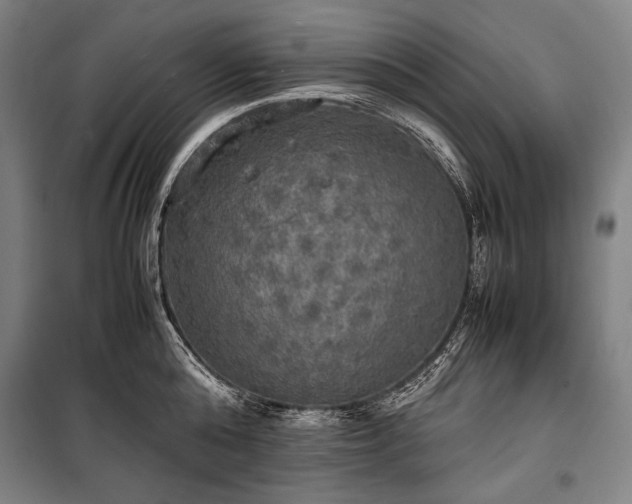 X0000100310808200806121039
