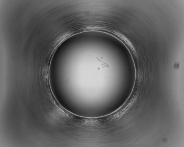 X0000100310809200806121039