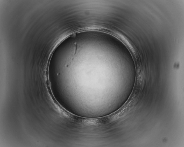 X0000100310810200806121039