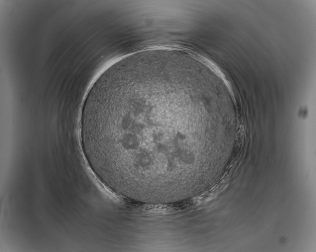 X0000100310811200806121039