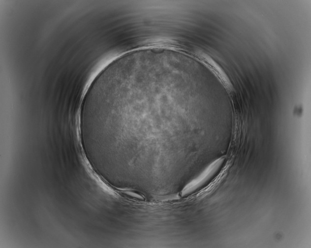 X0000100310812200806121039