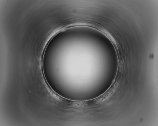 X0000100310813200806121039