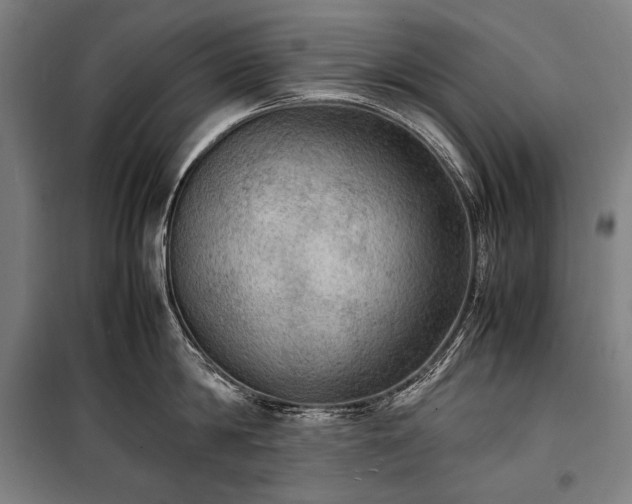X0000100310814200806121039